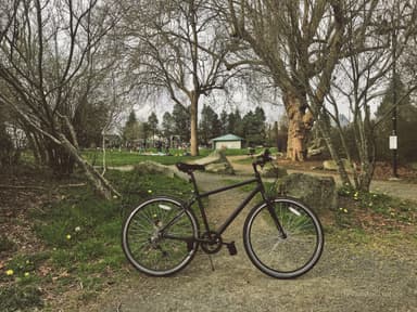 Wallingford Playfield