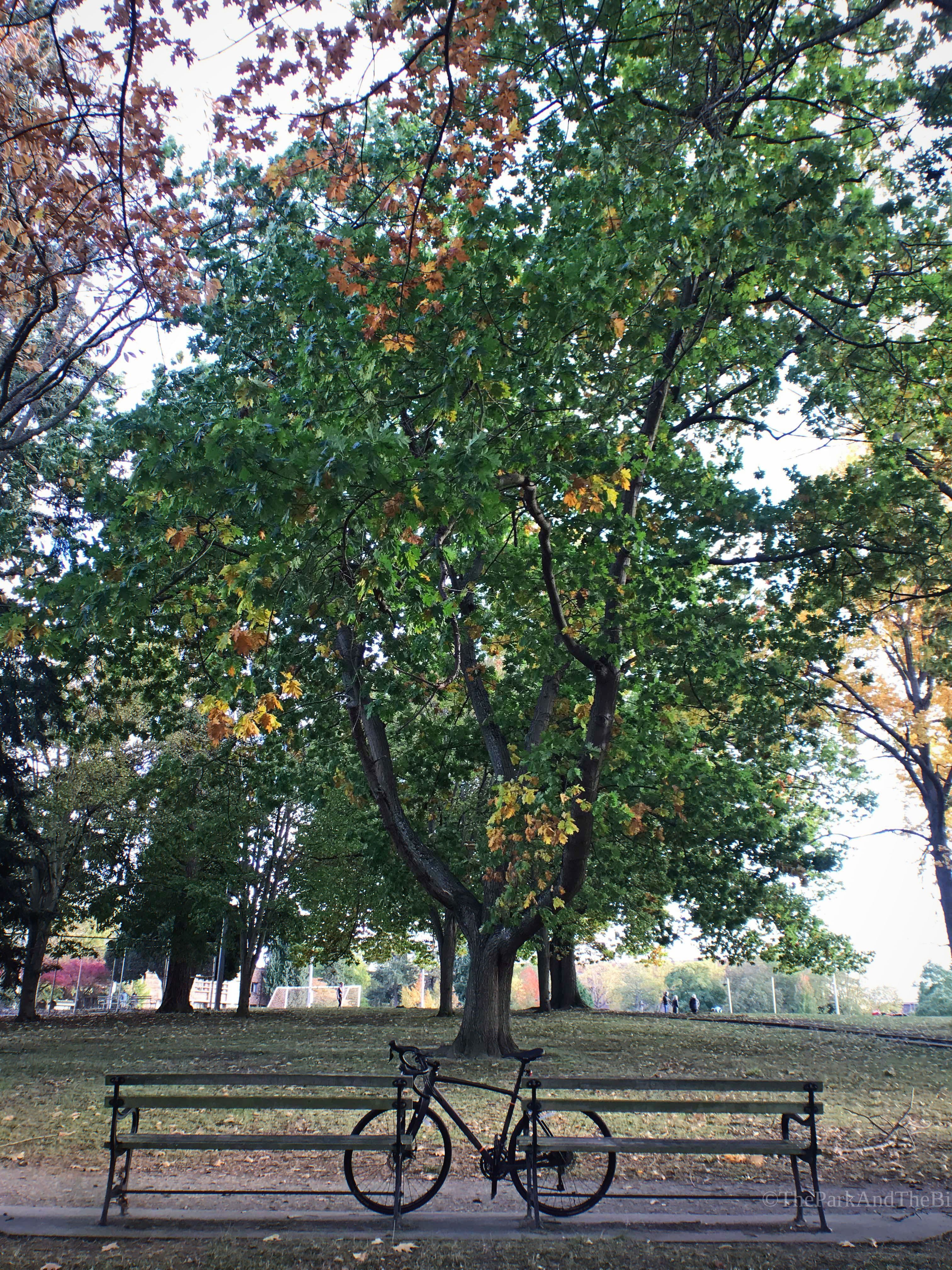 Hiawatha Playfield