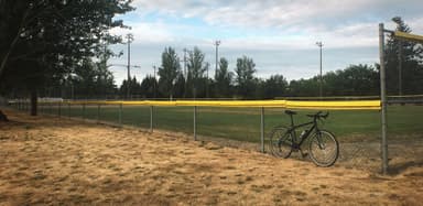 Marymoor Bellevue Ballfield Complex