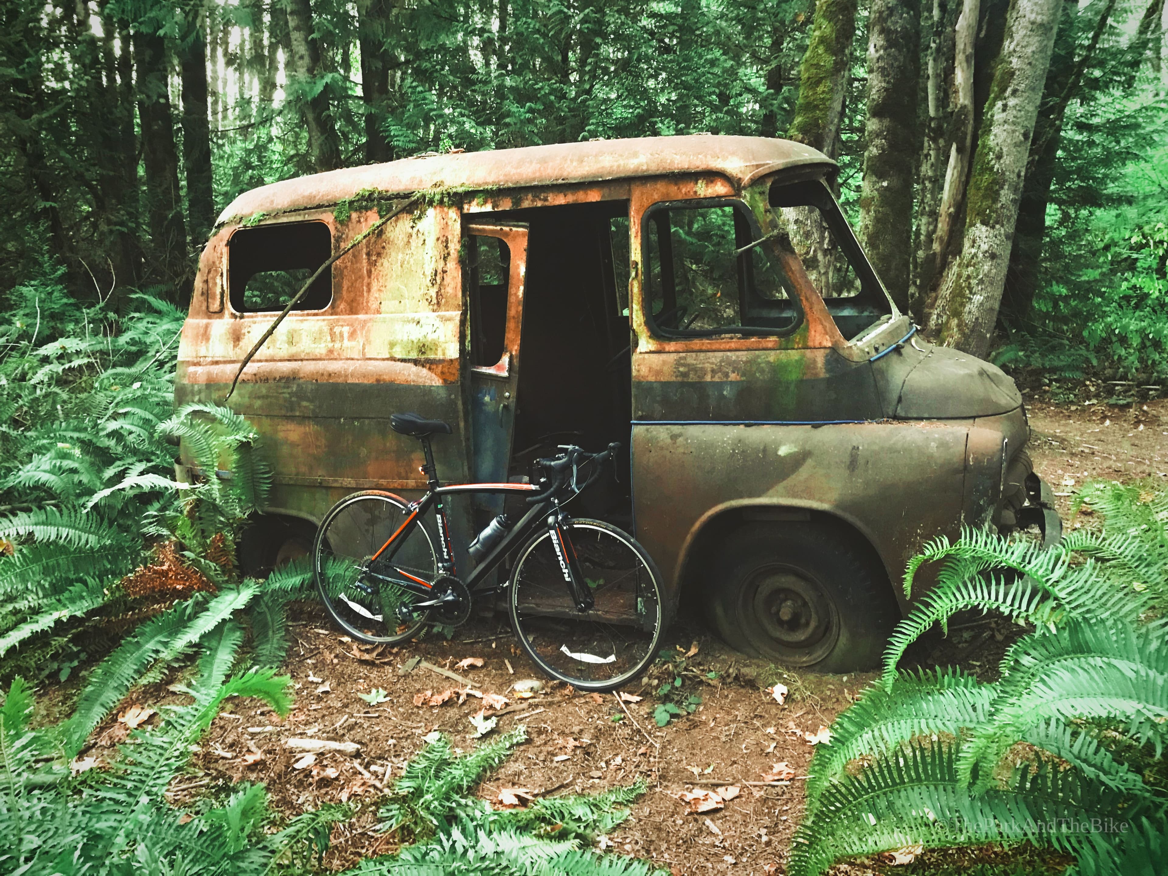 May Creek Park - County
