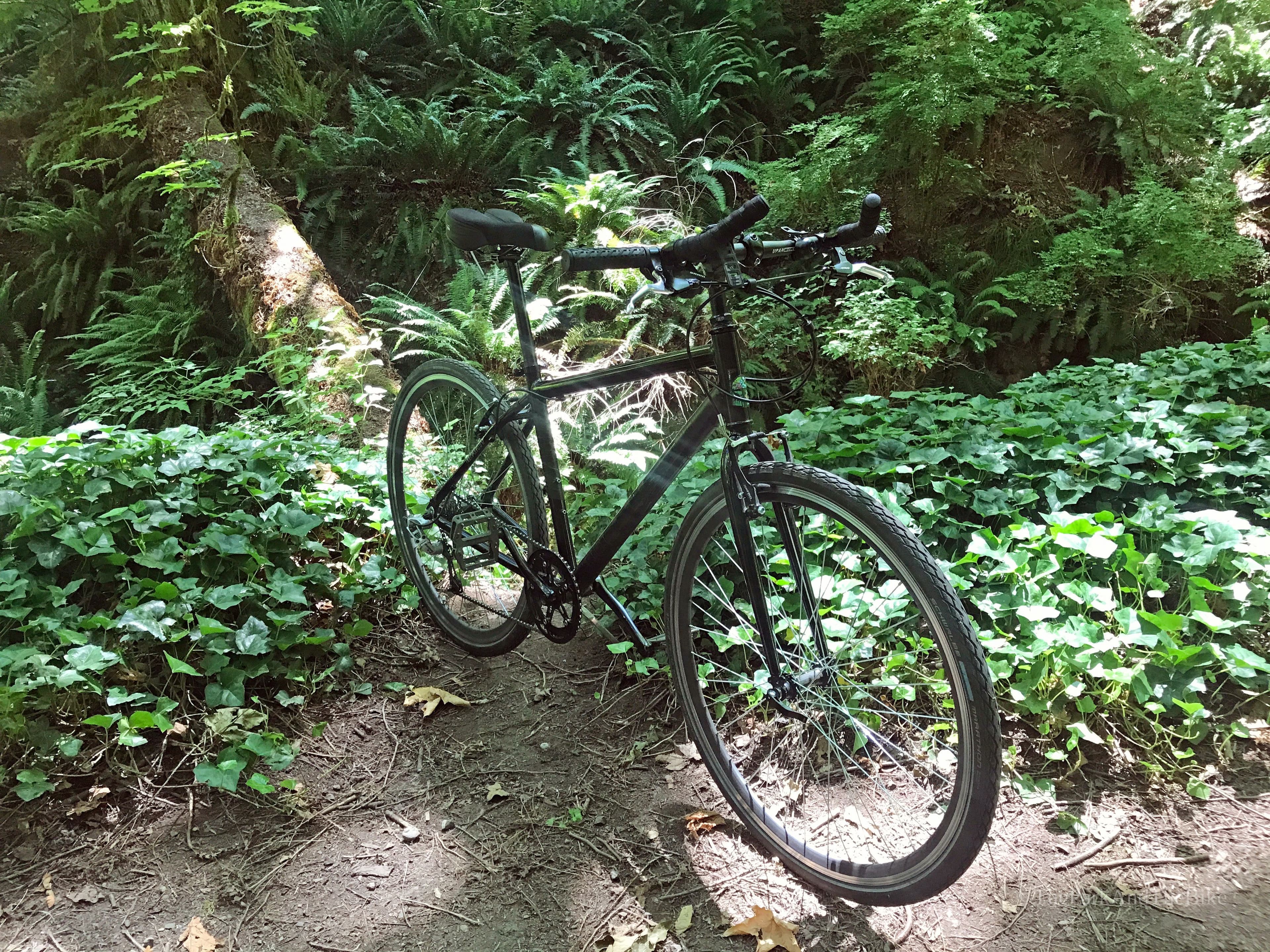 Engstrom Open Space