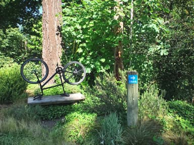 Hollerbach Open Space