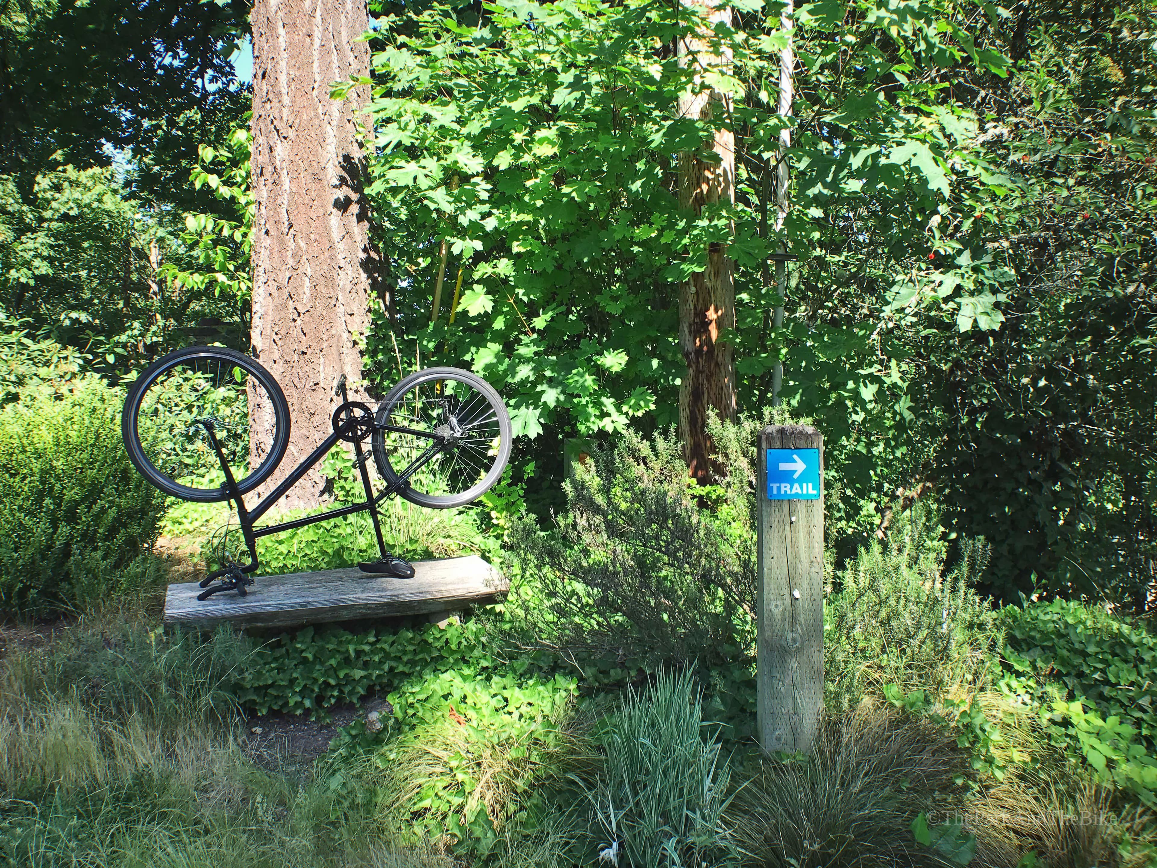 Hollerbach Open Space