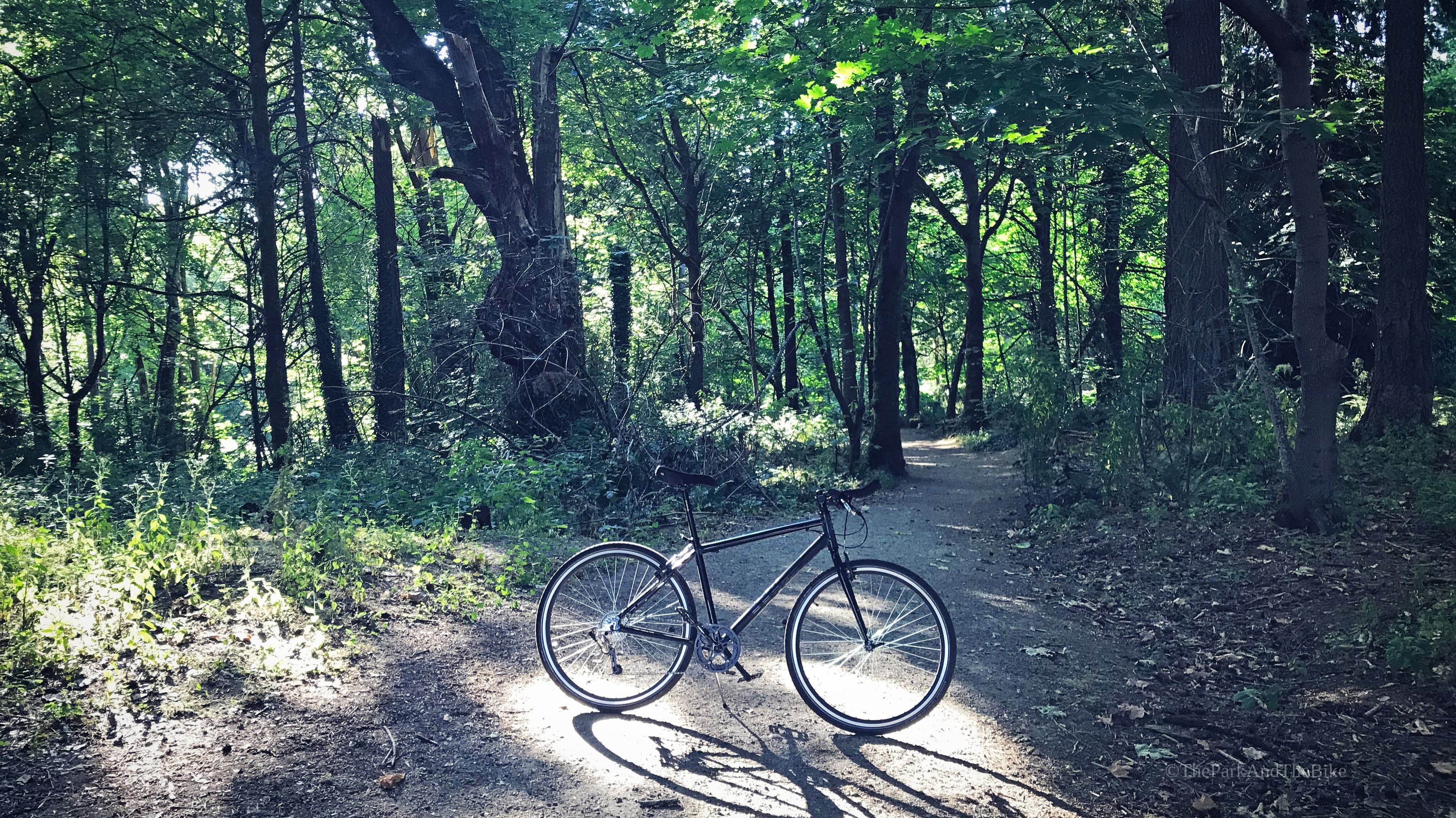 Island Crest Park