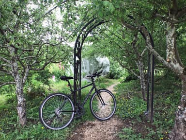 Brandon Street Orchard