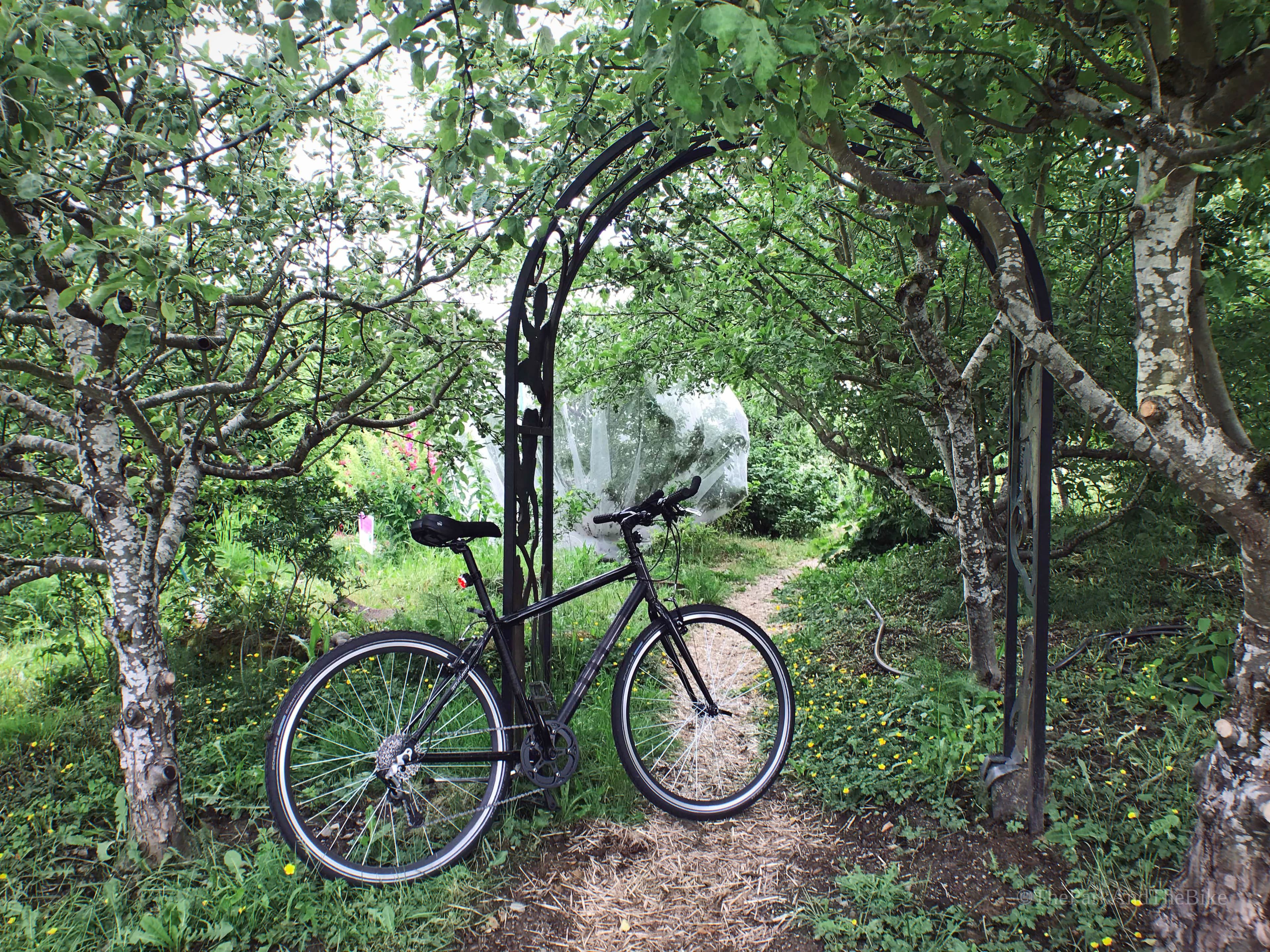 Brandon Street Orchard