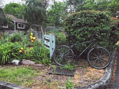Burke-Gilman Gardens