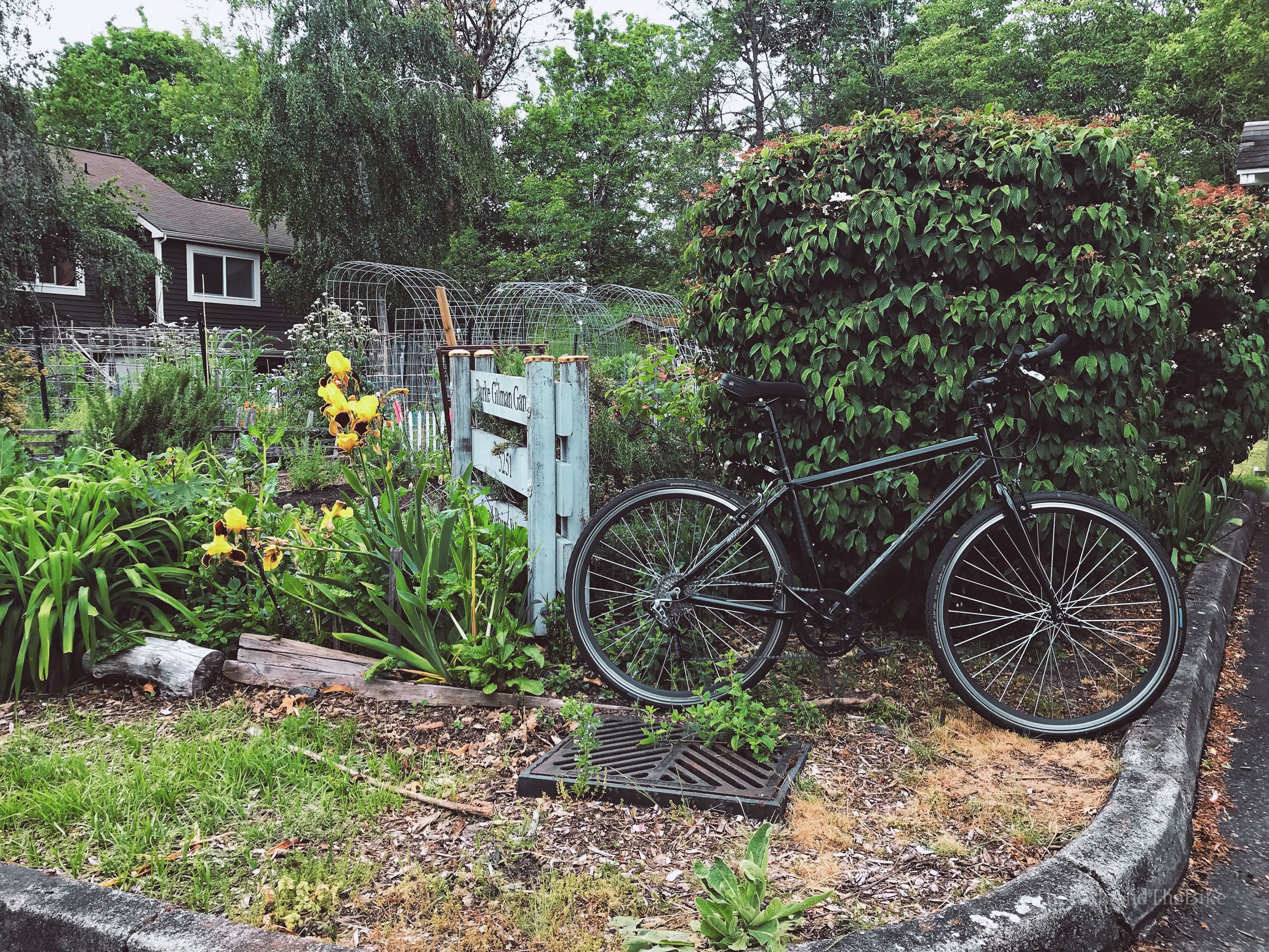 Burke-Gilman Gardens
