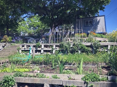 Hillside Garden