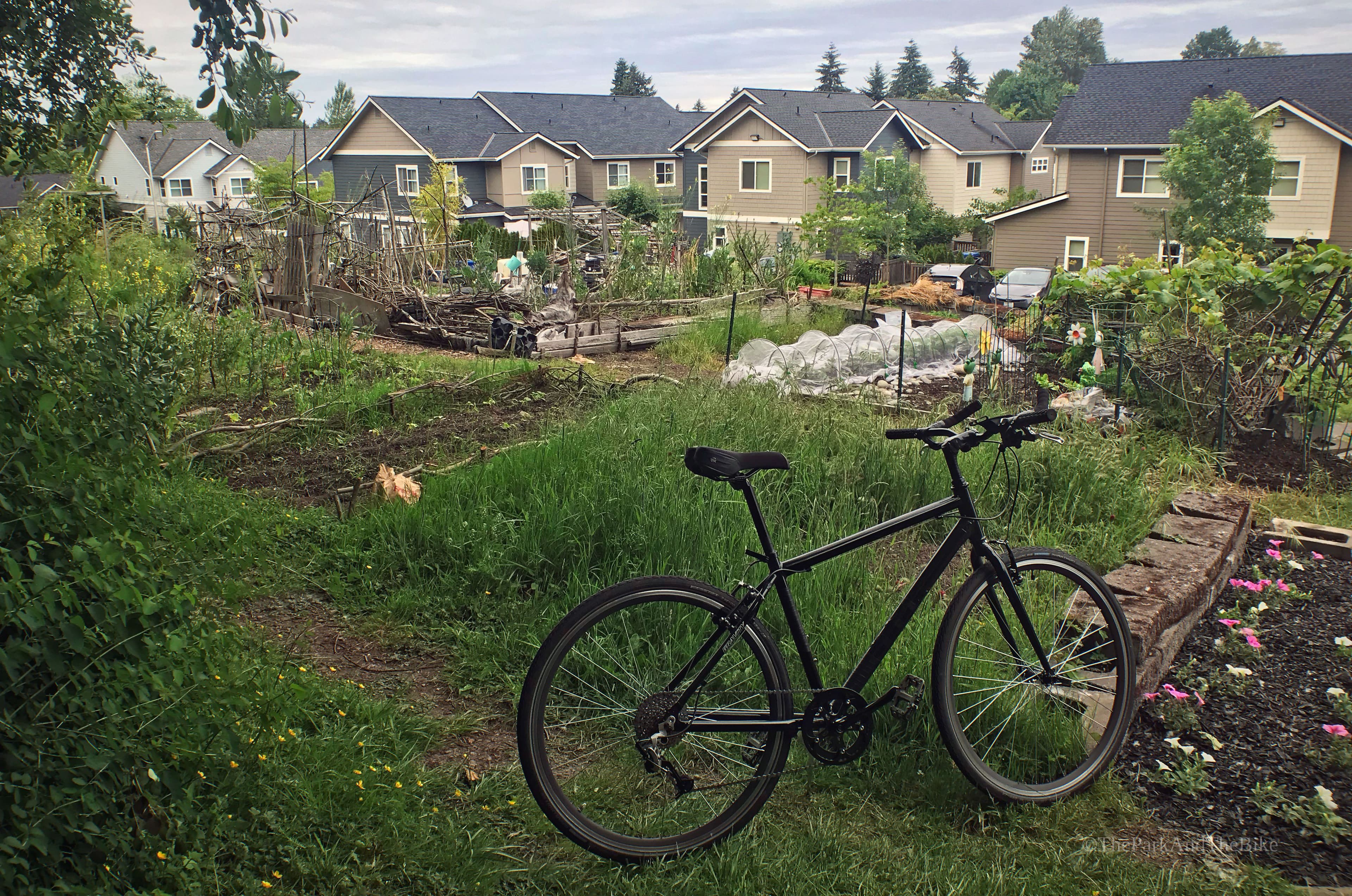 Rainier Vista Dakota Garden