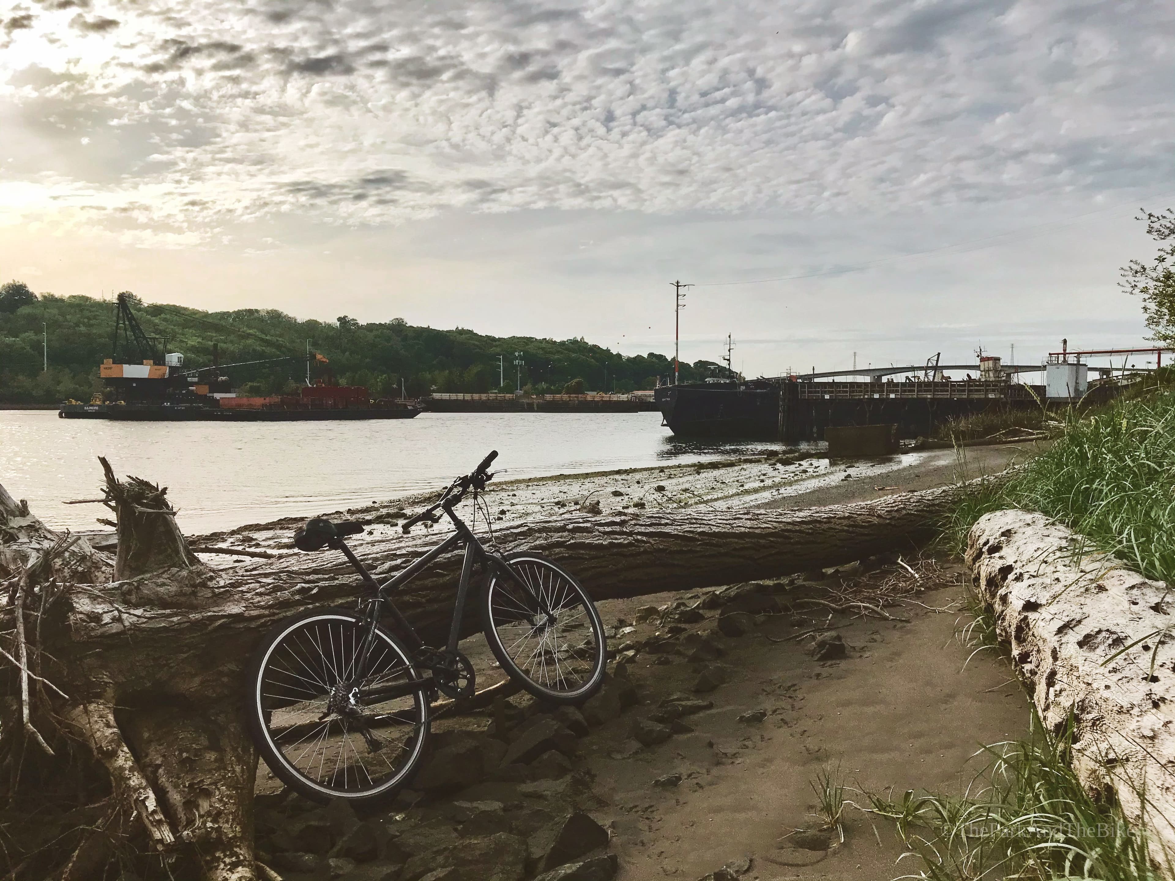 sbəq̓ʷaʔ Park and Shoreline Habitat