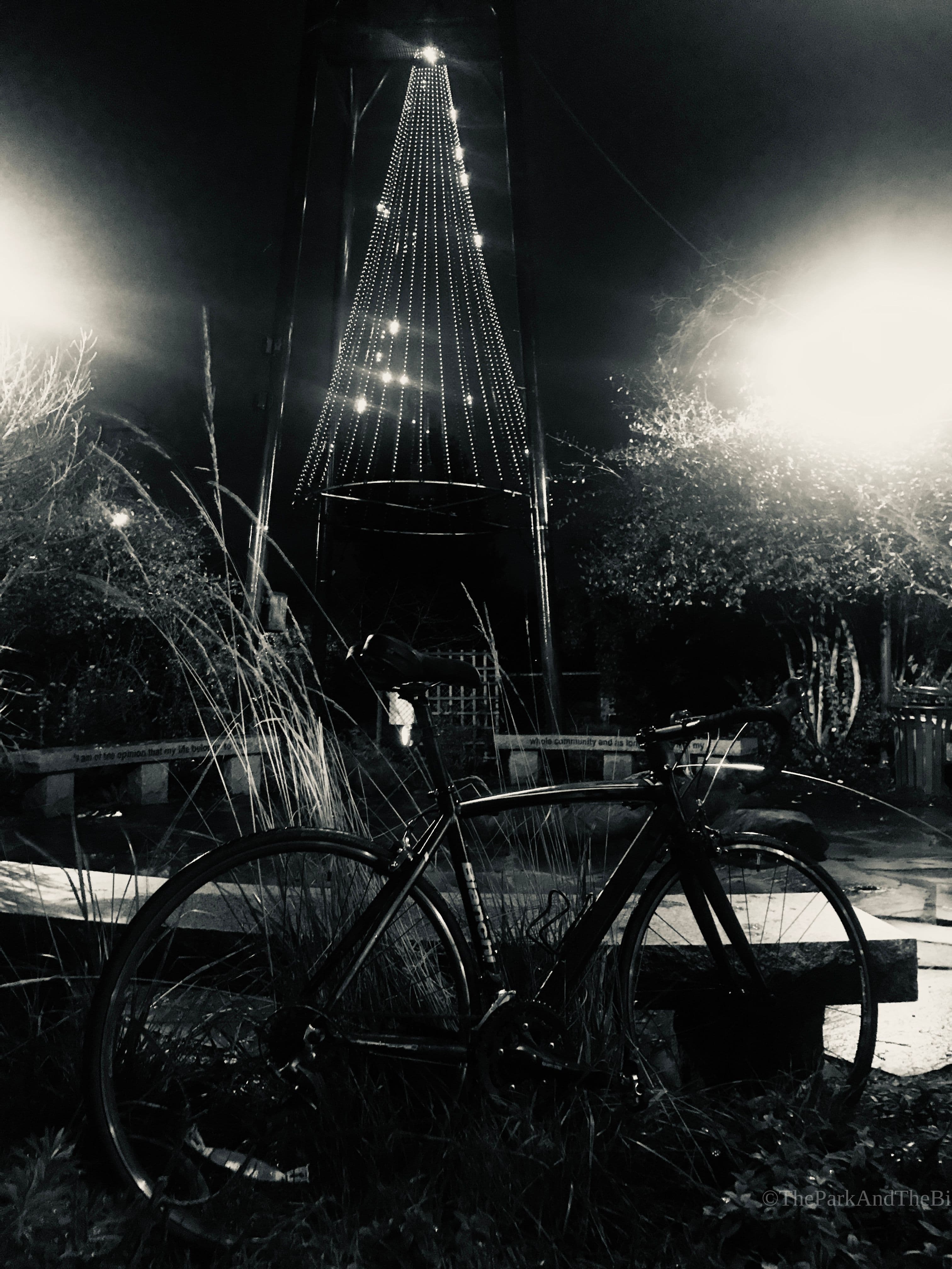 Heart of Phinney Park